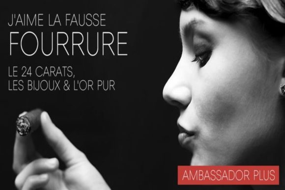 Ambassador Plus Typeface for Modern Web Design