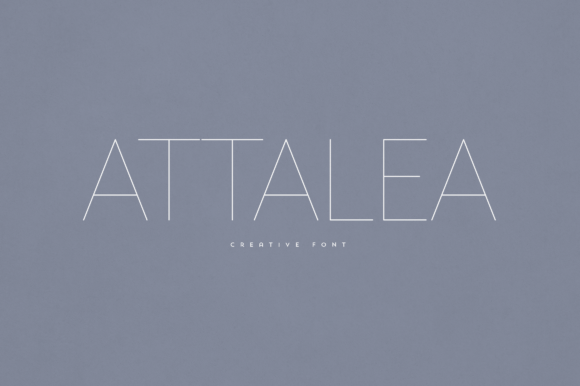 Attalea Font Review for Makers and Sellers