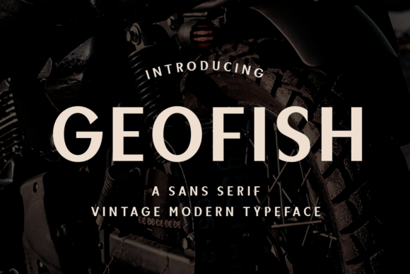 Geofish: A Versatile Sans Serif Font for Branding