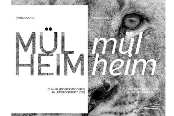 Mulheim Typeface Review for Modern Branding