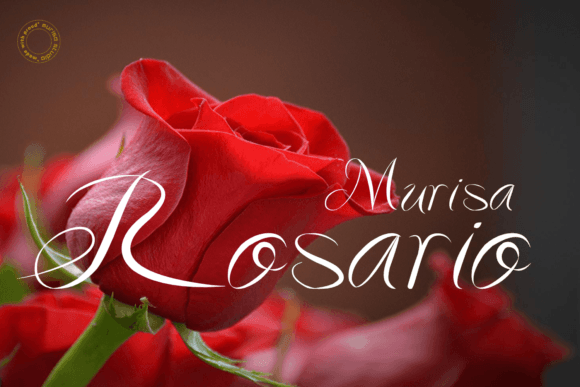 Murisa Rosario: A Modern Sans Serif for Makers