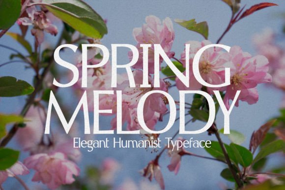 Spring Melody Typeface for Elegant Brand Design